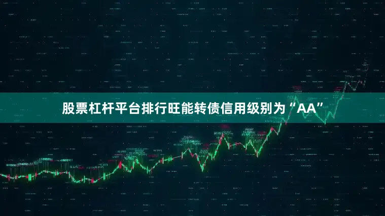 股票杠杆平台排行旺能转债信用级别为“AA”