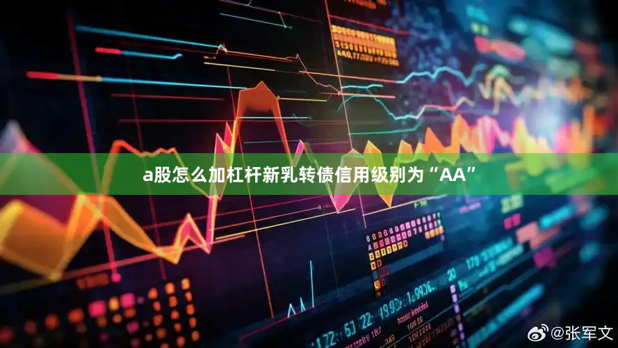 a股怎么加杠杆新乳转债信用级别为“AA”